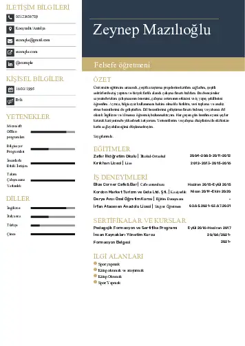 Felsefe Öğretmeni CV Örnekleri cv indir